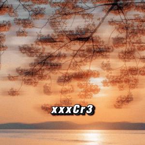 成人视频好爽裸入
