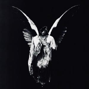 成人视频好爽裸入
