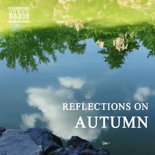 成人视频好爽裸入
